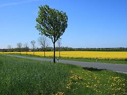 Lake View Modern Retreat