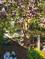 Lovely Apartment in Borkum