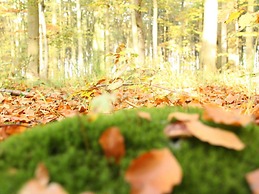 Holiday Apartment Lange