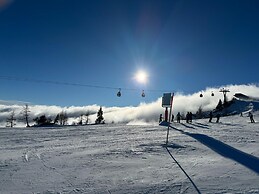 Chalet Near Nassfeld ski Resort in Carinthia