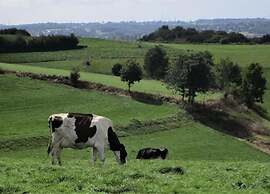 Riverside Loft in Esneux