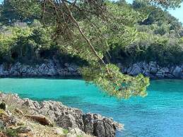 House of Olives Comfortable Holiday Residence