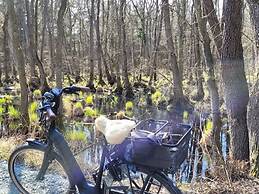 Hustadt in the Heart of Zingst