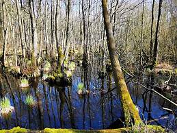 Hustadt in the Heart of Zingst