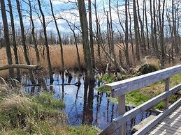 Hustadt in the Heart of Zingst