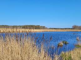 Hustadt in the Heart of Zingst