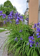Holiday Apartment Coffee Mill