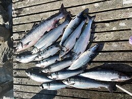 9 Person Holiday Home in Korsfjorden