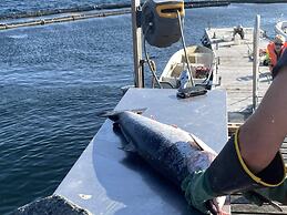 9 Person Holiday Home in Korsfjorden