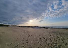 Apartment in Koksijde Near Sandy Beaches