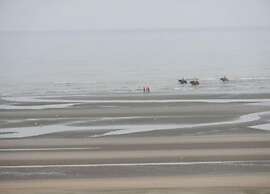 Apartment in Koksijde Near Sandy Beaches