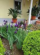 Holiday Apartment in the Rose Garden