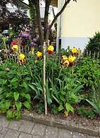 Holiday Apartment in the Rose Garden