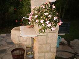 Licul Modern Retreat