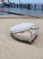 Wood in Zempin/usedom