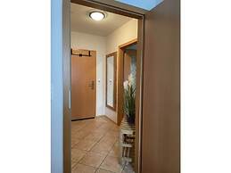 Wood in Zempin/usedom