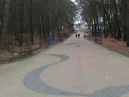 Wood in Zempin/usedom