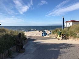 Wood in Zempin/usedom