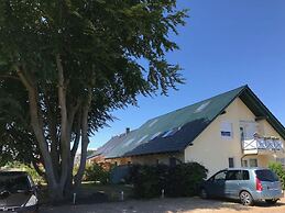 Wood in Zempin/usedom