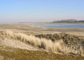 Gianina Apartment for Five Person in De Haan