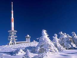 2 am Lustgarten Modern Retreat