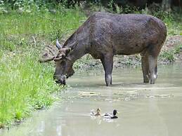 Welcoming Apartment Near Lake