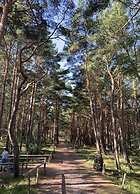 Cathedral Whispers Modern Retreat