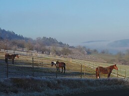 Apartment in Tauberbischofsheim