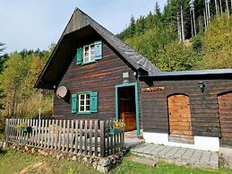 Chalet in the Praebichl ski Area With Sauna