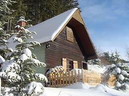 Chalet in the Praebichl ski Area With Sauna