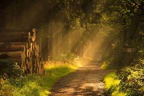 Holiday Home in Willingen-neerdar