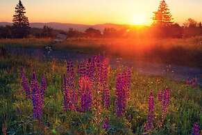 Holiday Home in Willingen-neerdar