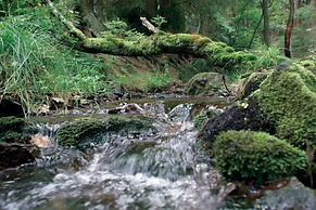 Holiday Home in Willingen-neerdar