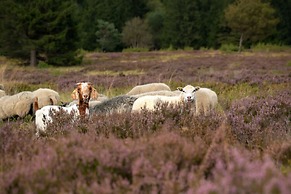 Holiday Home in Willingen-neerdar