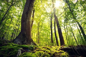 Holiday Home in Willingen-neerdar