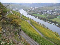 Muhlenhof - Muller Thurgau