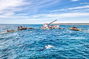 Belvilla by OYO Apartamento Bahaa de la Plata