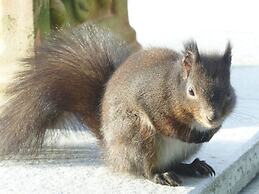 Dream View Comfortable Holiday Residence