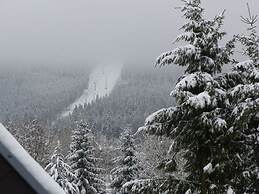 Dream View Comfortable Holiday Residence