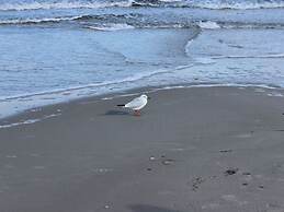 Ostseebrandung - Haus Seepferdchen