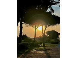 South of France Modern Retreat