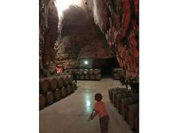 South of France Modern Retreat