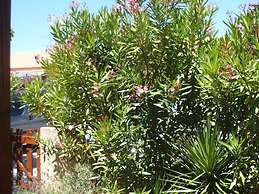 South of France Modern Retreat