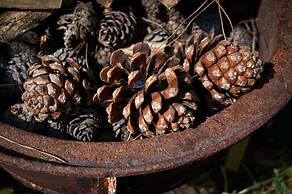 7 Garden Bungalow & Camping