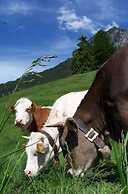 Haus Steiner Modern Retreat