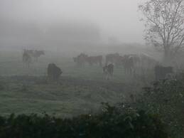 Poppenbull Thatched House