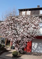 Holiday Apartment Magnolia