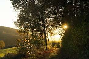 Holiday Home in Willingen-neerdar