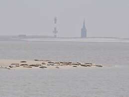 Little Beach Flea Comfortable Holiday Residence