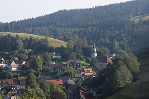 Cozy Holiday Apartment in the Harz
